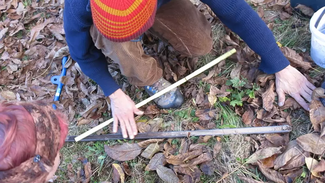 Personen knien im Laub und betrachten eine Bodenprobe.