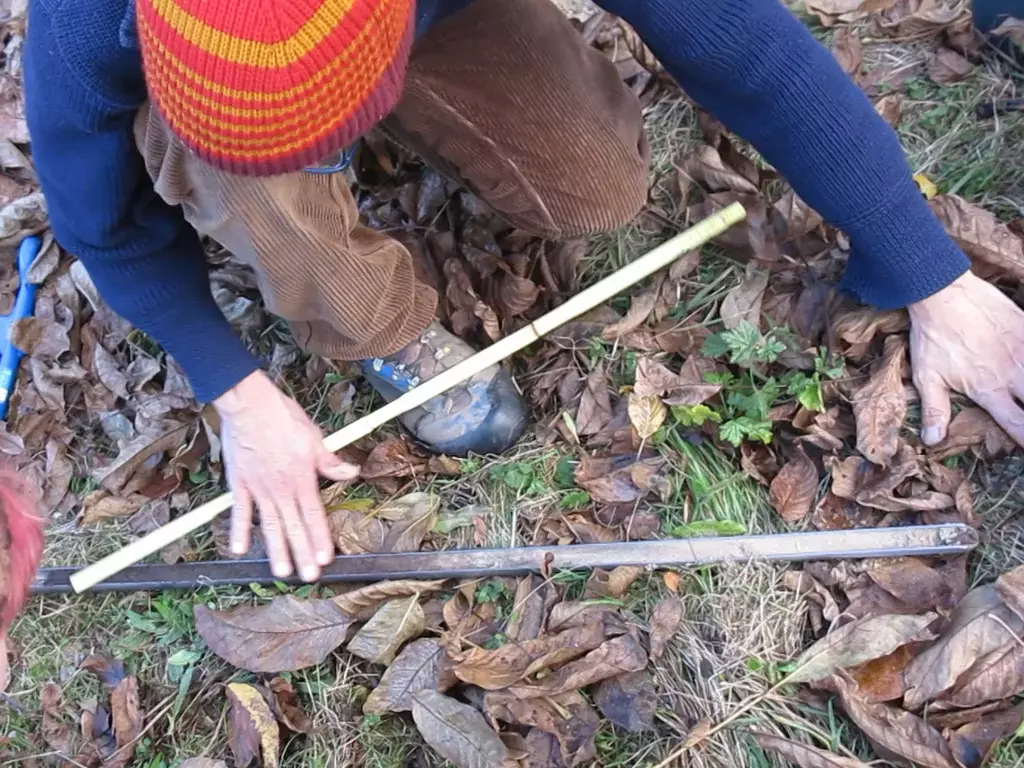 Personen knien im Laub und betrachten eine Bodenprobe.