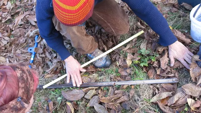 Personen knien im Laub und betrachten eine Bodenprobe.