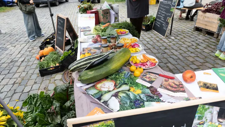 Gemüsestand SoLawi