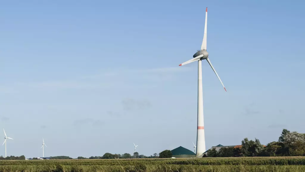 Windräder auf einem Feld
