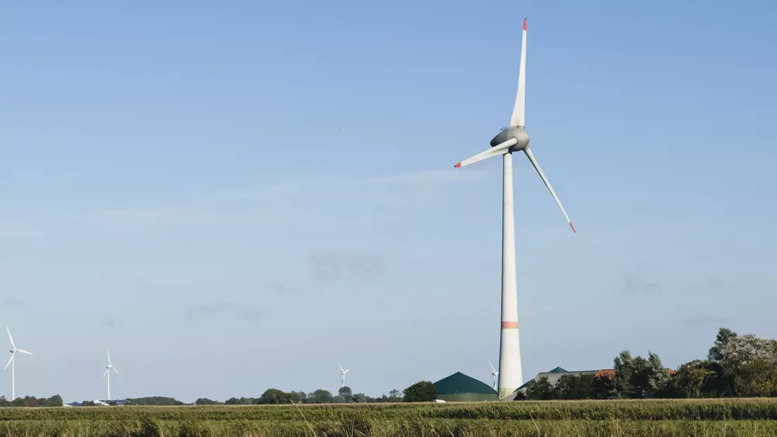 Windräder auf einem Feld