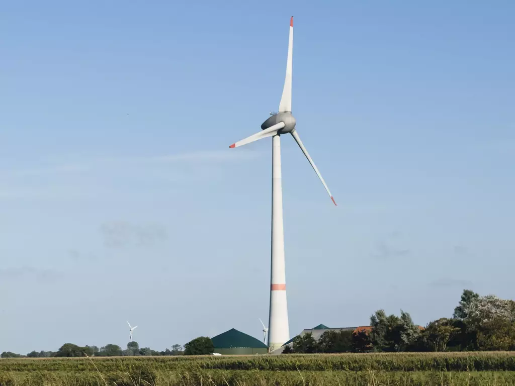 Windräder auf einem Feld