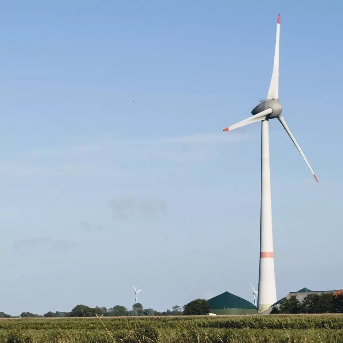 Windräder auf einem Feld