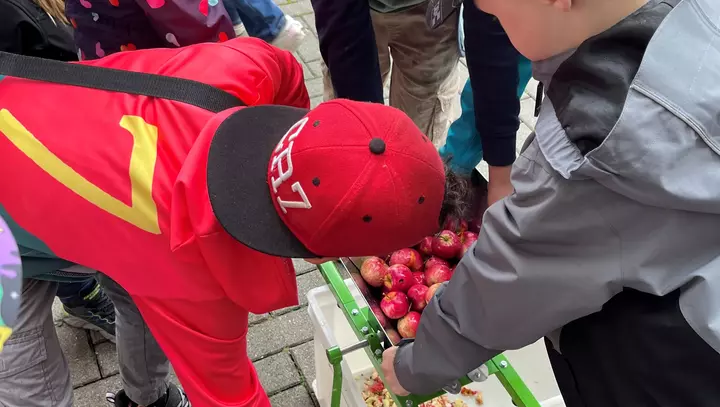 Kinder pressen Äpfel